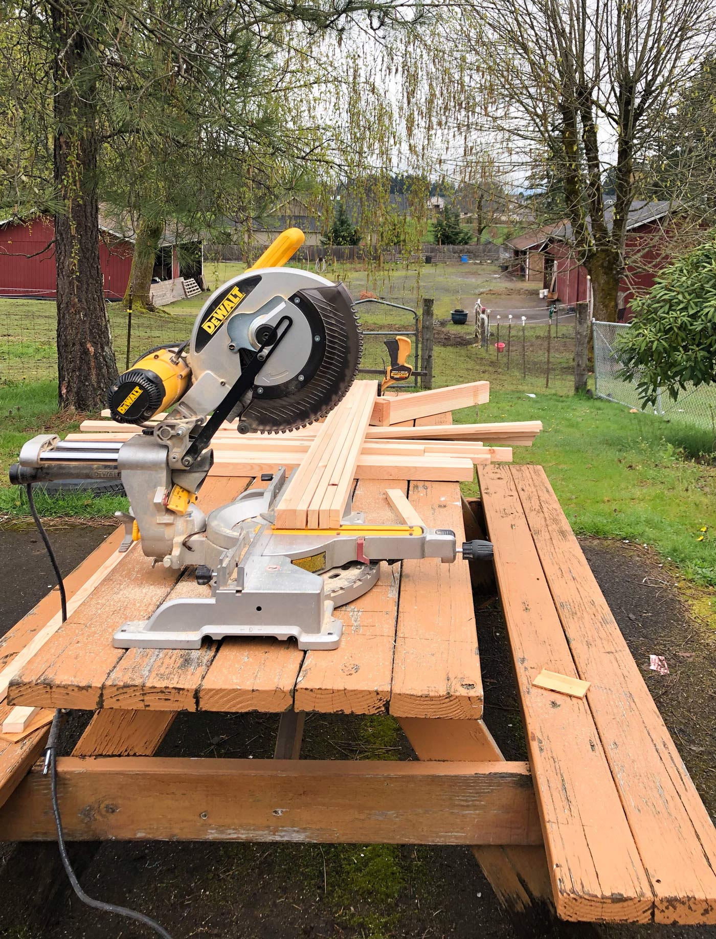 cutting-wood on a picnic table-with-compound-miter-saw